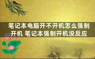 笔记本电脑开不开机怎么强制开机 笔记本强制开机没反应